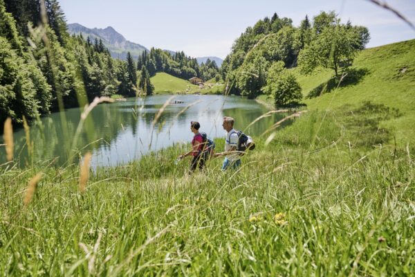 Seewaldsee (Fontanella) – Bild 3