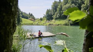 Seewaldsee (Fontanella)