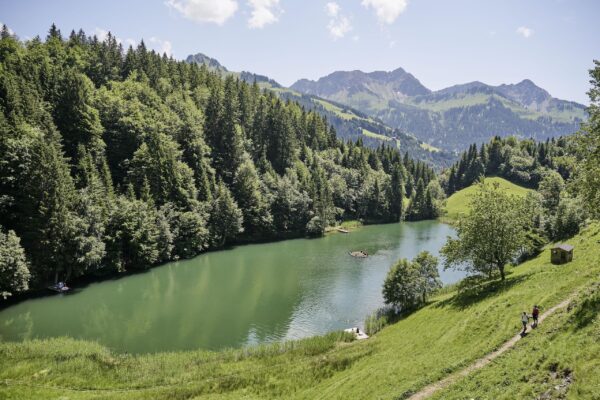 Seewaldsee (Fontanella) – Bild 2
